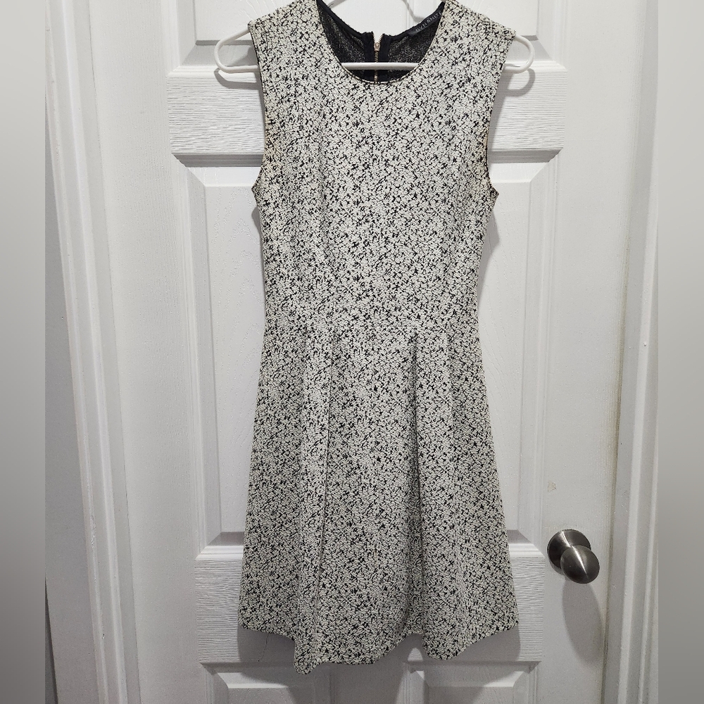 Elegant Black and White Sleeveless Dress